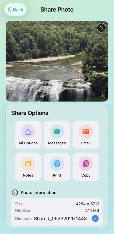 Image Info & preview