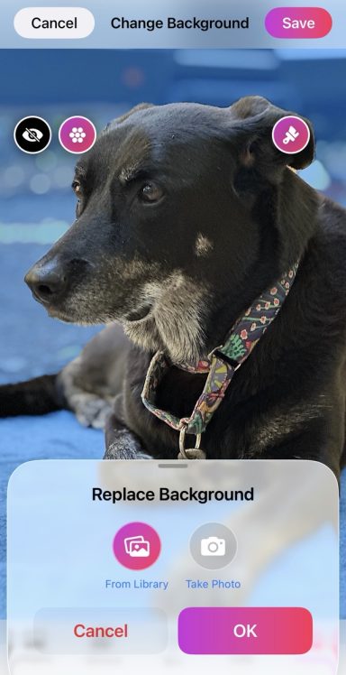 AI Background removal