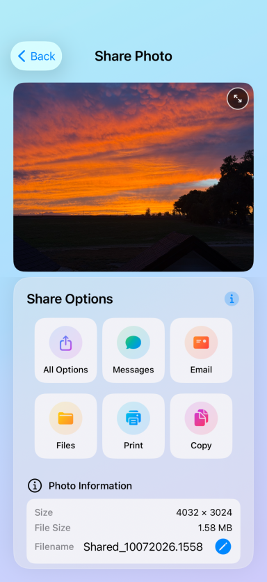 Share Sheet Options
